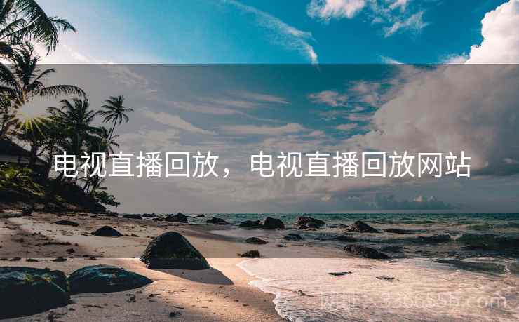 电视直播回放，电视直播回放网站