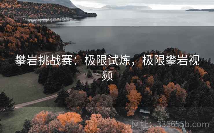攀岩挑战赛：极限试炼，极限攀岩视频