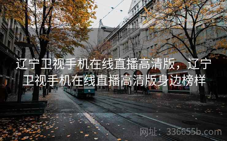 辽宁卫视手机在线直播高清版，辽宁卫视手机在线直播高清版身边榜样