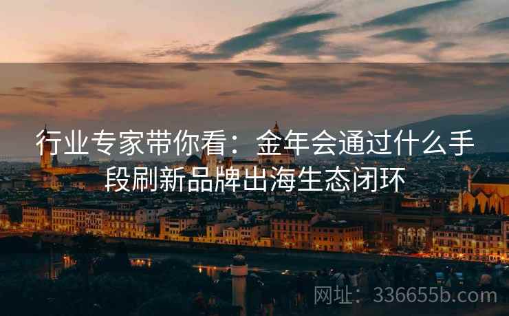 行业专家带你看：金年会通过什么手段刷新品牌出海生态闭环