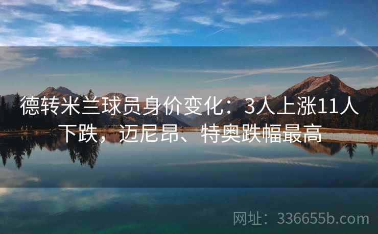 德转米兰球员身价变化：3人上涨11人下跌，迈尼昂、特奥跌幅最高
