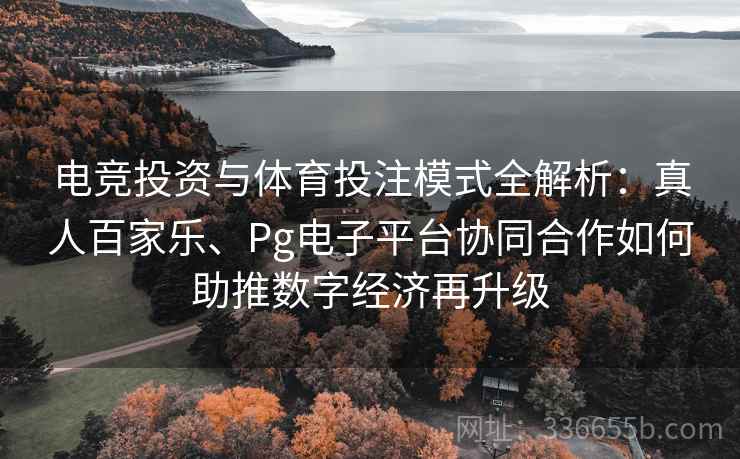 电竞投资与体育投注模式全解析：真人百家乐、Pg电子平台协同合作如何助推数字经济再升级